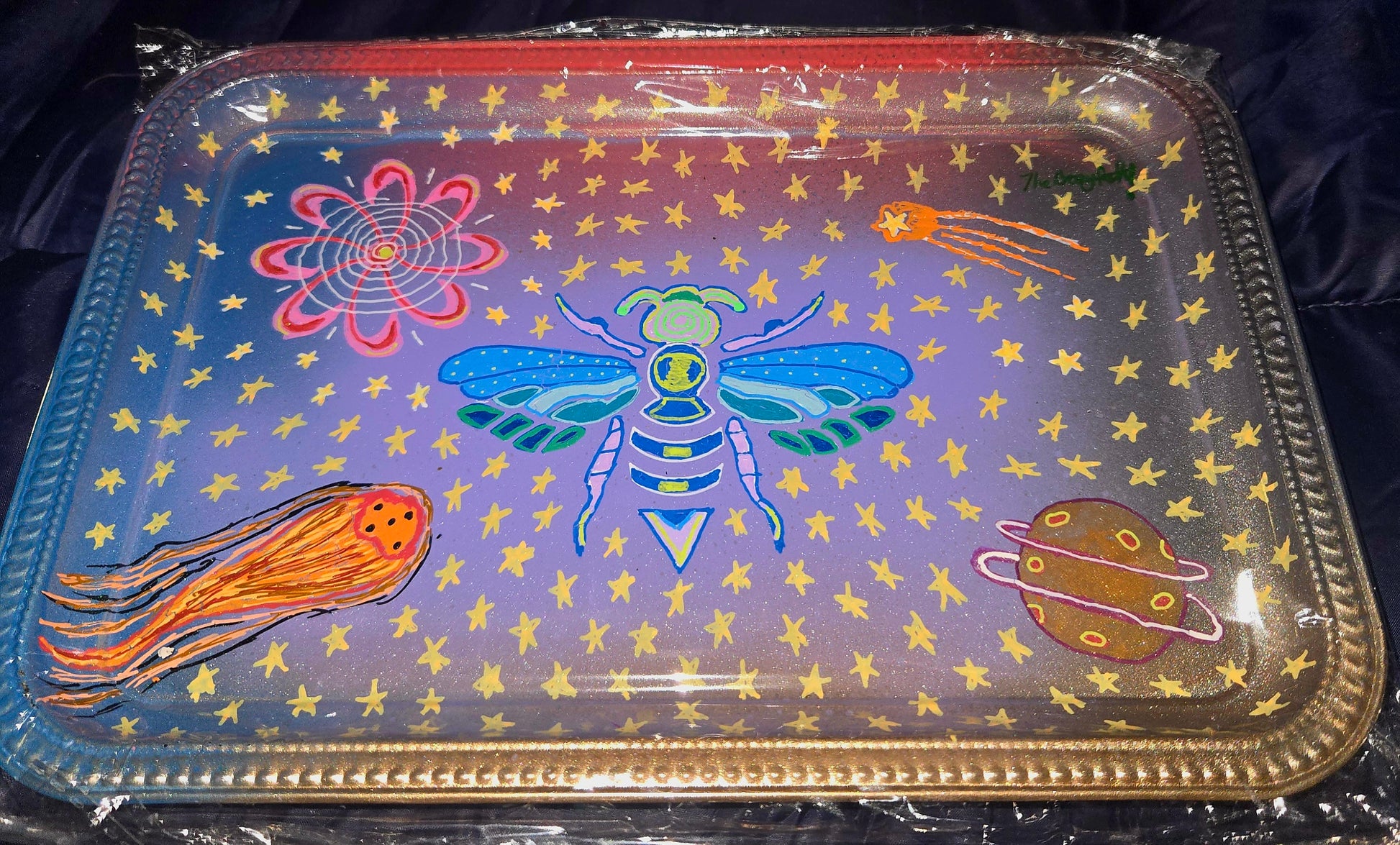 Space bug